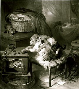 La zampa del gatto da Edwin Landseer
