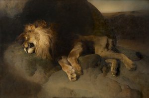 Il deserto