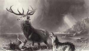 Il cervo in fuga da Edwin Landseer