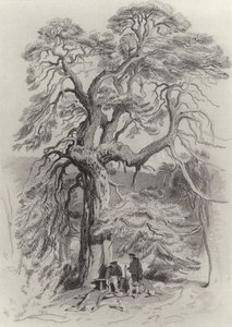 Sotto il vecchio abete da Edwin Landseer