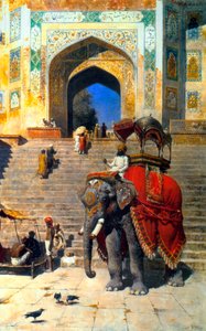 Elefante reale al cancello della Jami Masjid, Mathura, XIX o inizio XX secolo