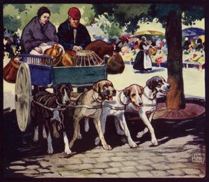 Un carretto francese per cani