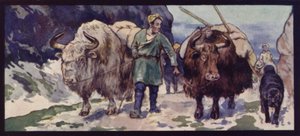 Un treno di yak tibetani