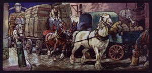 Cavalli Clydesdale al lavoro