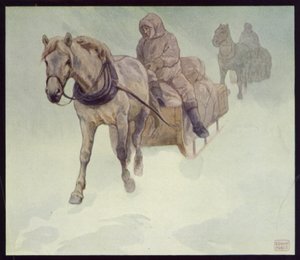Pony Siberiani in Antartide