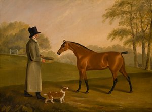 Un cavallo in un paesaggio con il groom, David, Bennet (c.1805) da Edwin W. Cooper