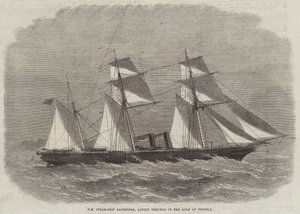 HM Steam-Ship Racehorse, recentemente naufragata nel Golfo di Pecheli da Edwin Weedon