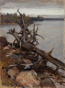  da Eero Järnefelt