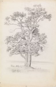  da Eero Järnefelt
