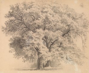  da Eero Järnefelt