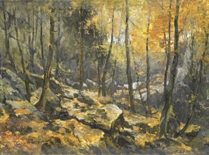 Felsenmeer da Egbert Rubertus Derk Schaap