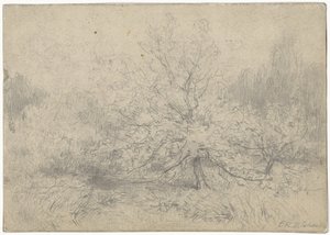Paesaggio con un albero prominente al centro