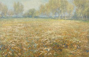 Prato in fiore da Egbert Rubertus Derk Schaap