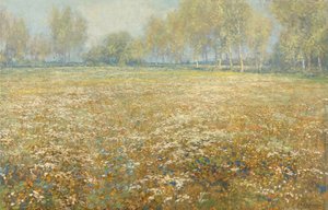 Prato in fiore