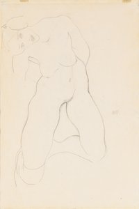 Nudo Femminile in Ginocchio da Egon Schiele