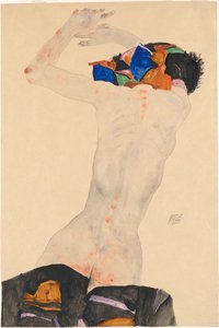Nudo di schiena con un panno colorato, 1911 da Egon Schiele