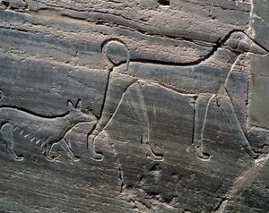 Coppia di cani, rilievo dall