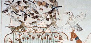 Anatre, nidi, farfalle, gatti e roditori, dettaglio dalla scena di caccia e pesca nelle paludi, affresco, parete nord, camera longitudinale, Tomba Tebana TT69, Sheikh Abd el-Qurna, Tebe. Civiltà egizia, Nuovo Regno, XVIII dinastia. da Egyptian 18th Dynasty