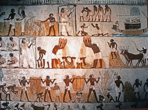 ARTE EGIZIANA: Scena di raccolta. Pittura murale nella Tomba di Menna a Elwe..., ca. 1400 a.C. (pietra calcarea) da Egyptian 18th Dynasty