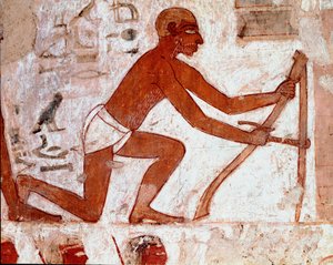 Arte egizia: Tomba di Rekhmire. Lavoro del contadino con il suo attrezzo agricolo. Affresco di Luxor (Sito di Tebe, Necropoli di Sheikh Abd al-Gournah (Gournah), riva sinistra del Nilo, Egitto. - Antico Egitto: Tomba di Rekhmire. Il lavoro di un contadino  da Egyptian 18th Dynasty