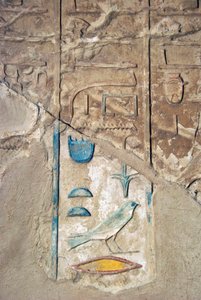 Antichità egizia: geroglifici colorati. Tomba di Kherouef (TT192) (XVIII dinastia) da Egyptian 18th Dynasty