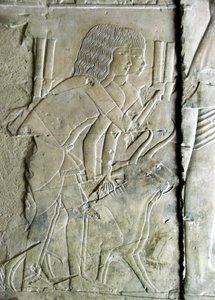 Antichità egizia: rilievi dalla tomba di Kha em Het (Khaemhat) ispettore dei granai e scriba alla corte di Amenofi III (TT57) che rappresentano uomini che offrono teste di barbabietola come offerta. XVIII dinastia. 1530-1290 a.C. Valle dei Nobili. Luxor, R da Egyptian 18th Dynasty
