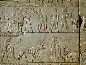 Antichità egizia: scene di lavoro nei campi e offerte al faraone. (dettaglio) da Egyptian 18th Dynasty