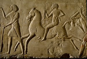 Antichità egizia: "guerriero a cavallo". Rilievo da una tomba di un alto dignitario. 1354-1346 a.C. XVIII dinastia. Bologna, Civico Museo Archeologico da Egyptian 18th Dynasty