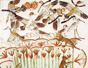 Pesca e caccia negli acquitrini, dettaglio degli uccelli, dalla Cappella della Tomba di Menna, Nuovo Regno (pittura murale) da Egyptian 18th Dynasty