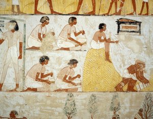 Raccolta del raccolto, trebbiatura e ventilazione del grano (dettaglio), affreschi nel vestibolo della Tomba di Menna, Necropoli di Sheikh Abd el Qurnah, Luxor, Tebe (Lista del Patrimonio Mondiale Unesco) da Egyptian 18th Dynasty
