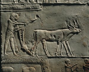 Horemheb che ara la terra nei Campi di Iaru. Rilievo dalla tomba di Horemheb a Saqqara, dettaglio.