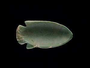 Interno di un piatto a forma di pesce