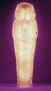 Interno di uno dei sarcofagi canopi, dalla tomba di Tutankhamon (c.1370-1352 a.C.) Nuovo Regno da Egyptian 18th Dynasty