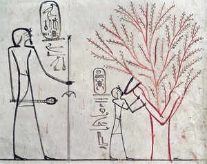Iside trasformata in un sicomoro che allatta Tuthmosis III, c.1479-1425 a.C. da Egyptian 18th Dynasty