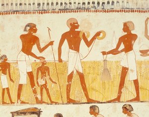 Misurazione della terra usando una corda, dalla Cappella della Tomba di Menna, Nuovo Regno