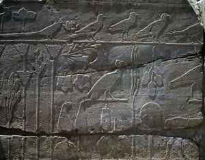 Piante e animali riportati dalla spedizione di Thutmose III in Siria nel 1465 a.C., (dettaglio), rilievo, sala nota come il Giardino Botanico, Tempio di Amon, complesso del tempio di Karnak, Civiltà Egizia, Nuovo Regno, Dinastia XVIII