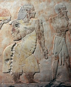 Regina di Punt, (dettaglio), scena raffigurante la spedizione nella Terra di Punt, rilievo dipinto, colonnato di Punt, tempio funerario di Hatshepsut, Deir el-Bahari, necropoli di Tebe (Patrimonio Mondiale dell
