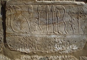 Rilievo di animali e piante offerti ad Amon da Thutmose III al suo ritorno dalla campagna di Siria nel 1465 a.C., Sala del Giardino Botanico, Karnak, Necropoli Tebana, Luxor, Egitto, Nuovo Regno, Dinastia XVIII da Egyptian 18th Dynasty