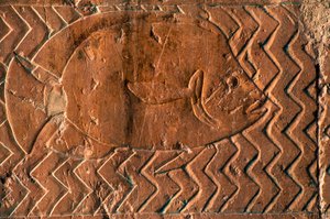 Rappresentazione di pesci, scene del Regno di Punt, parete sud del colonnato centrale, Tempio funerario di Hatshepsut, Deir el-Bahari, Luxor, Tebe (Patrimonio Mondiale dell