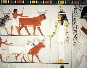 Pastori e bestiame davanti alla dea Imentet, affresco, parete sud, camera longitudinale, Tomba Tebana TT69, Sheikh Abd el-Qurna, Tebe (Patrimonio dell