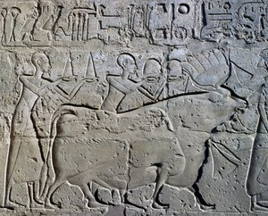 Personaggi che simboleggiano i distretti minerari portano i loro tributi a dio, rilievo, Cortile di Ramesse II, Tempio di Amon (Patrimonio dell