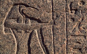 Raffigurazione di Thoth, (dettaglio), iscrizione e rilievo di Thoth e Horus, sarcofago di Amenhotep, Menfi (Patrimonio Mondiale dell