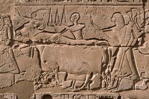 Dettaglio di un rilievo che raffigura uomini che conducono una mucca, cortile di Ramesses II (1298-32 a.C.) da Egyptian 19th Dynasty