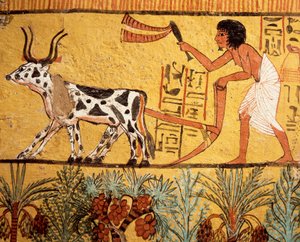 Egitto, Antica Tebe, Deir el-Medina, Tomba di Sennedjem, pittura murale che raffigura Sennedjem che ara i campi di Iaru da Egyptian 19th Dynasty
