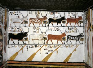 Egitto, Tebe, Luxor, Valle delle Regine, Tomba di Nefertari, Annesso all