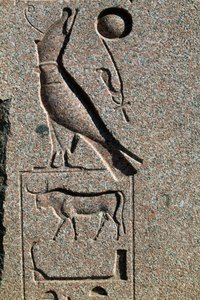 Geroglifico con il nome di Horus, Grande Tempio di Amon, Tanis, Egitto, Nuovo Regno, Dinastia XIX