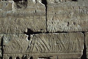 Rilievo, Tempio di Amon, Luxor, antica Tebe (Lista del Patrimonio Mondiale dell