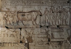 Rilievo, Tempio di Ramses II, Abydos, Egitto, civiltà egiziana, Nuovo Regno, Dinastia XIX da Egyptian 19th Dynasty
