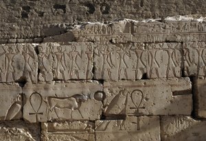 Rilievo, Tempio di Ramses II, Abydos, Egitto, civiltà egiziana, Nuovo Regno, Dinastia XIX da Egyptian 19th Dynasty