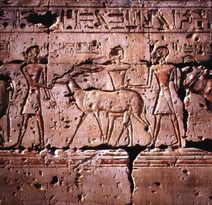 Rilievo raffigurante orici condotti in processione per il sacrificio, dal Tempio di Ramses II, Nuovo Regno da Egyptian 19th Dynasty